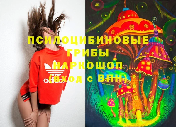 хмурый Нягань